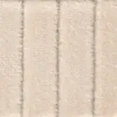 Beige striped fabric swatch with a dense woven texture, featuring vertical lines and blurred edges, presented in diffused studio lighting.